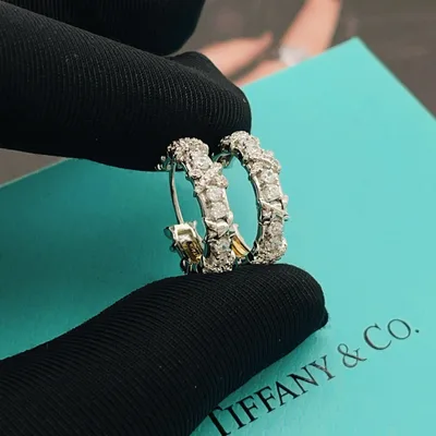 Tiffany Silver Full Diamond Semi-Circle X Earrings
