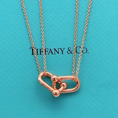 Tiffany Latest Rose Gold Double Chain Smooth Horseshoe Necklace