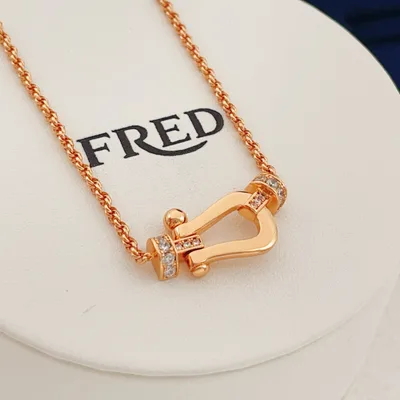 FRDE Latest Rose Gold Horseshoe Buckle Necklace