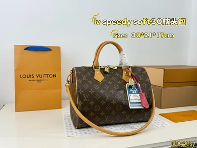 LV Speedy Soft 25 Pillow Bag