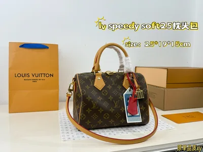 LV Speedy Soft 25 Pillow Bag