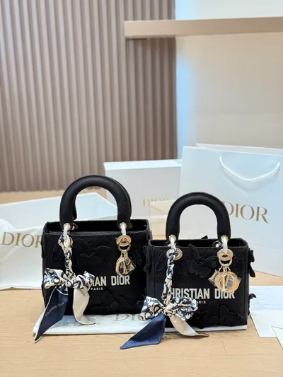 Dior Lady D-Lite Embroidered Bag