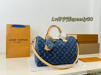 LV Denim Speedy 30 Handbag