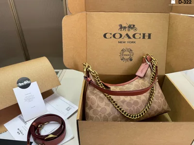 COACH Laurel Classic Wander Bag