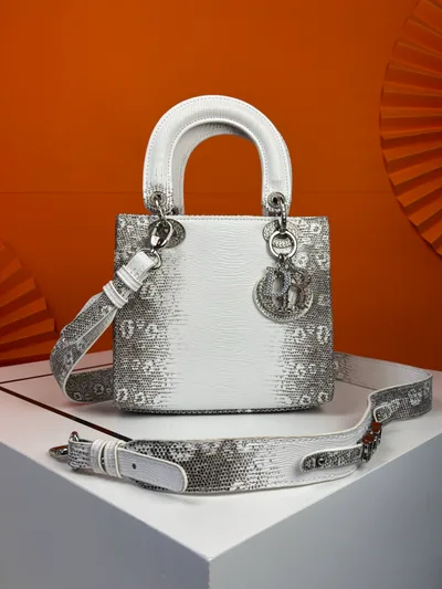 Dior Lady Dior Bag