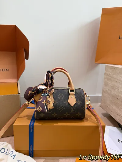 LV Speedy Pillow Bag with Scarf