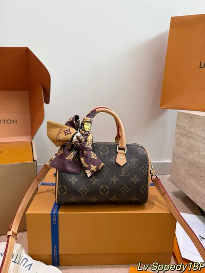 LV Speedy Pillow Bag with Scarf