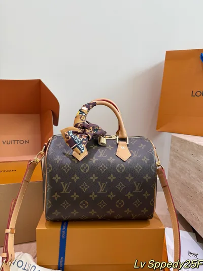 LV Speedy Pillow Bag with Scarf