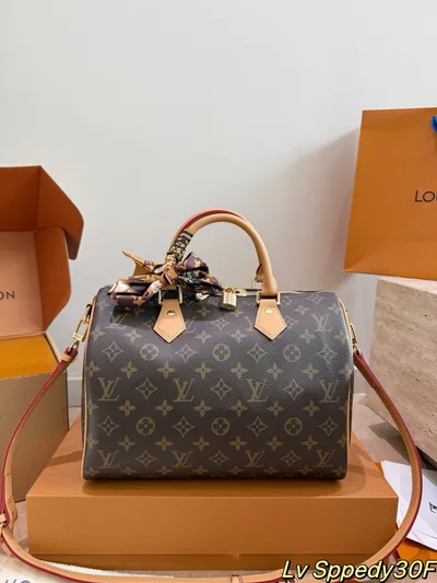 LV Speedy Pillow Bag with Scarf