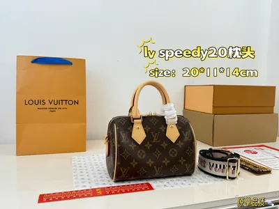 LV Speedy Nano 20 Style Pillow Bag