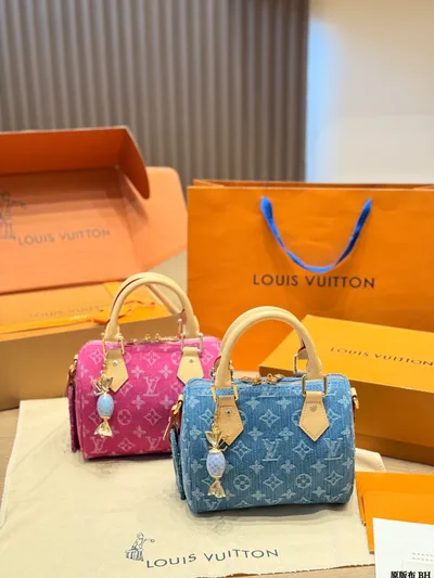LV Denim Nano Speedy Handbag