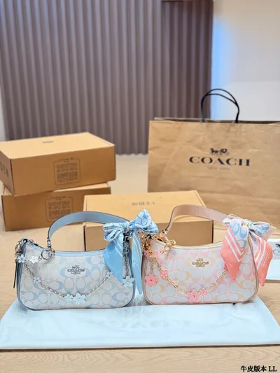 Coach Teri Underarm Bag