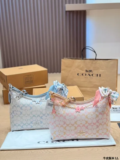 Coach Laurel Hobo Bag