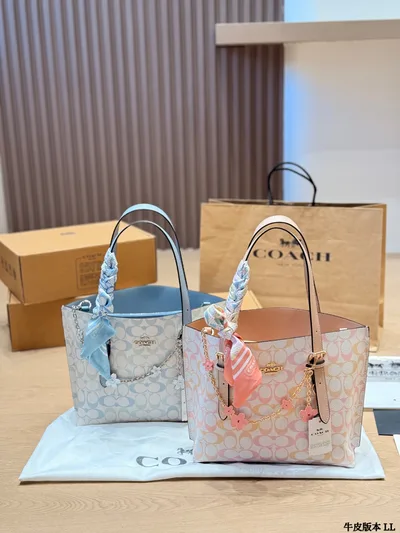 Coach Mollie25 Tote Bag