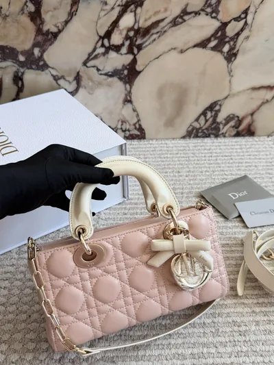 Dior Two-Tone Bow Long Wallet in Lambskin