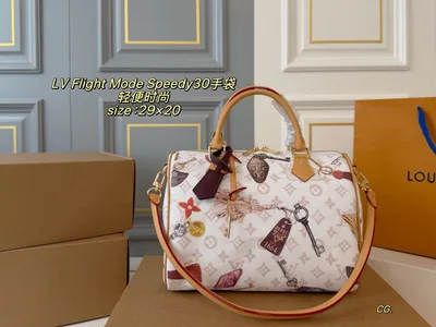 LV Louis Vuitton Flight Mode Speedy 30 Handbag Pillow Bag