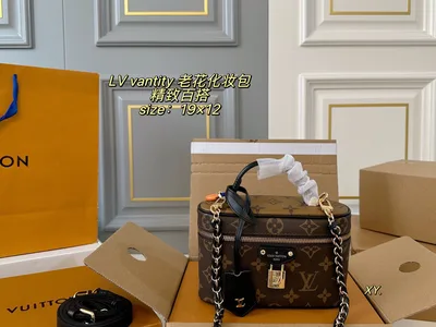 LV Louis Vuitton Vanity Monogram Makeup Bag