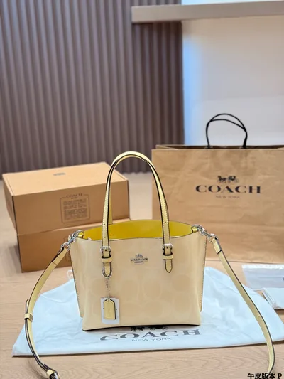 Coach Mollie 25 Tote Bag in Leather