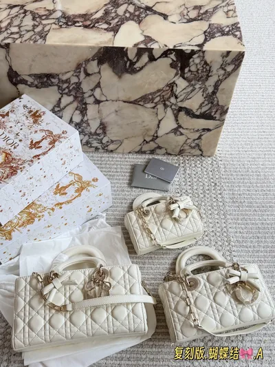 Dior Lady Long Wallet in Lambskin