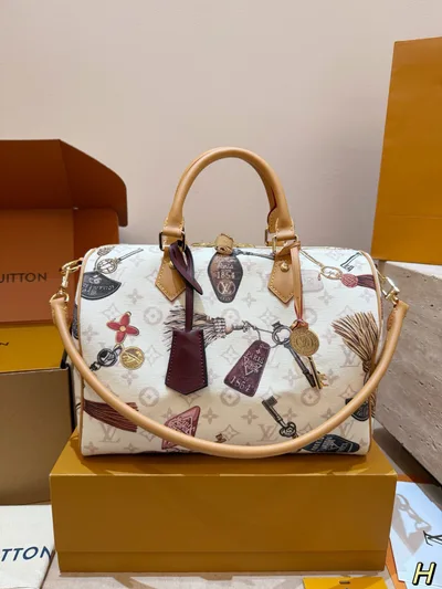 Lv Speedy Pillow Bag