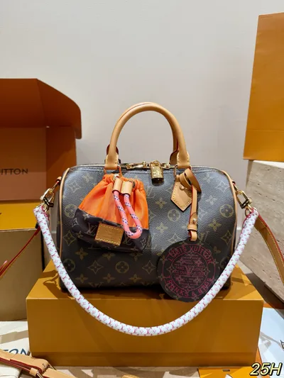 LV Speedy Pillow Bag