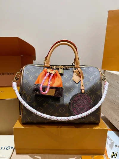 LV Speedy Pillow Bag