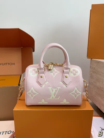 LV Speedy Pillow Bag