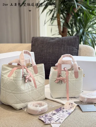 DiorToujours Handbag