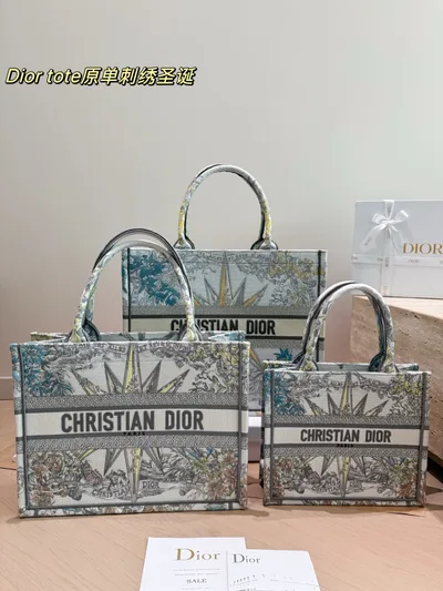 Dior Book Tote
