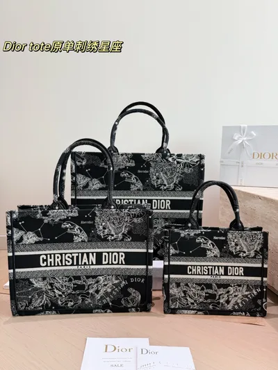Dior Book Tote