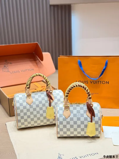LV White Damier Speedy Handbag