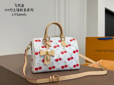 LV & Takashi Murakami Collaboration Series LV Speedy Handbag