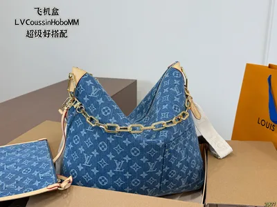 LV Coussin Hobo MM