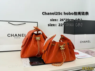 CHANEL 25C Hobo Drawstring Chain Bucket Bag