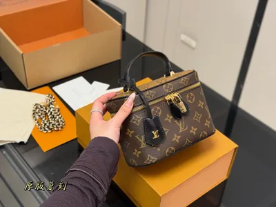 LV Nice Vanity Makeup Bag
