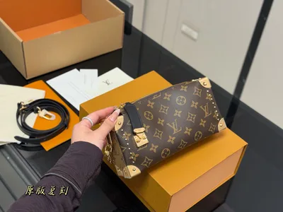 LV Wangzha New Bag Horizontal Version Gu Ailing