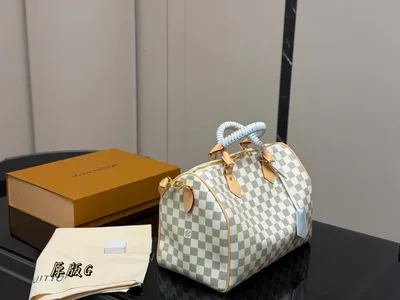 LV Speedy 30 Damier White Check