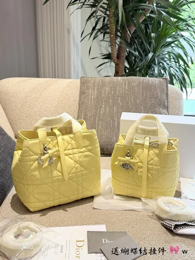 Dior Toujours Vertical Tote Bag Dior Toujours Small Tote Bag