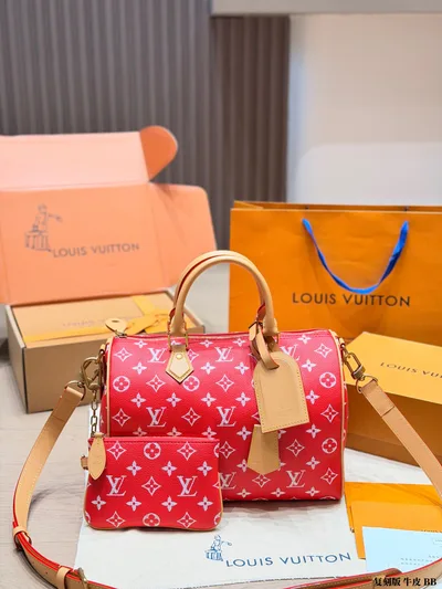 LV Speedy P9 Handbag