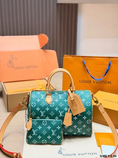 LV Speedy P9 Handbag