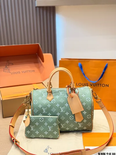 LV Speedy P9 Handbag