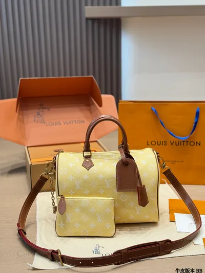 LV Speedy P9 Handbag