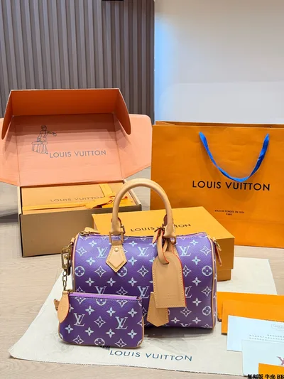LV Speedy P9 Handbag