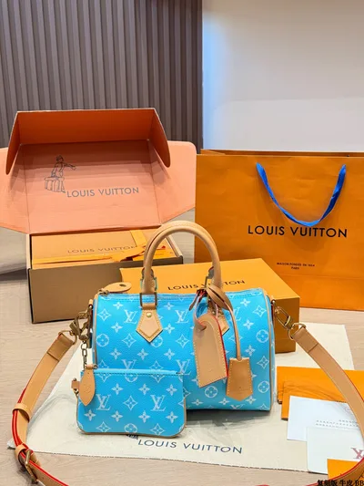 LV Speedy P9 Handbag