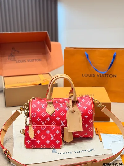 LV Speedy P9 Handbag