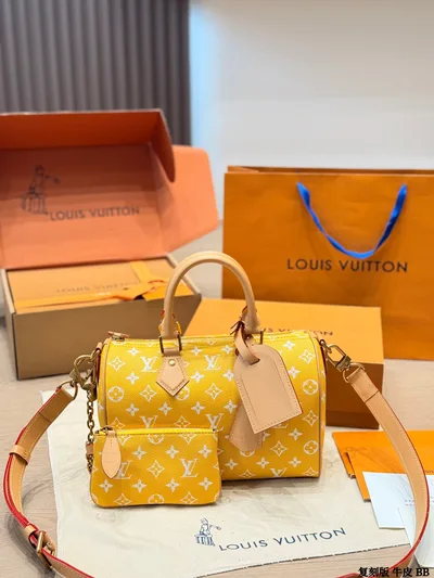 LV Speedy P9 Handbag