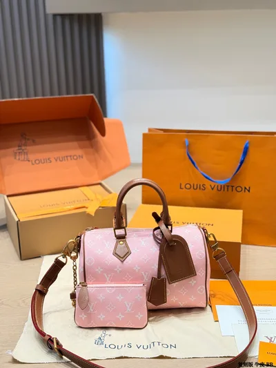 LV Speedy P9 Handbag