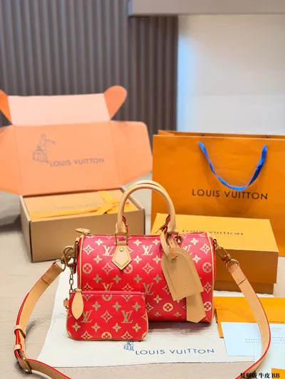 LV Speedy P9 Handbag