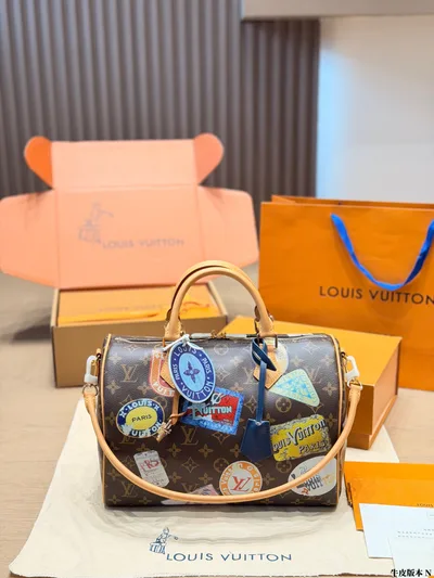 LV Speedy 30 Pillow Bag