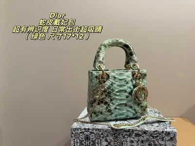 Dior Lady Dior Foldable Box Bag with Snake Print